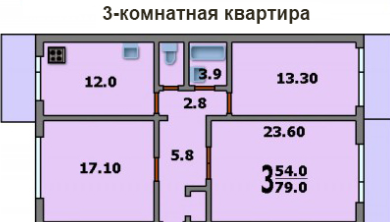 Трехкомнатная квартира в доме П-46М